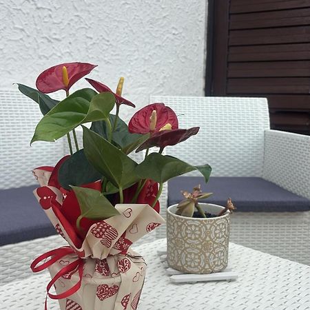 Appartamento Giardini Naxos Butterflies Home Schiso المظهر الخارجي الصورة